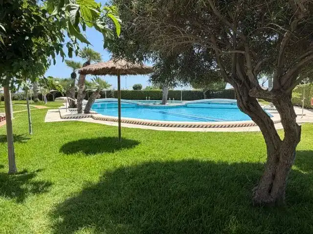 Swimming pool of Flat for rent in El Campello  with Swimming Pool and Balcony