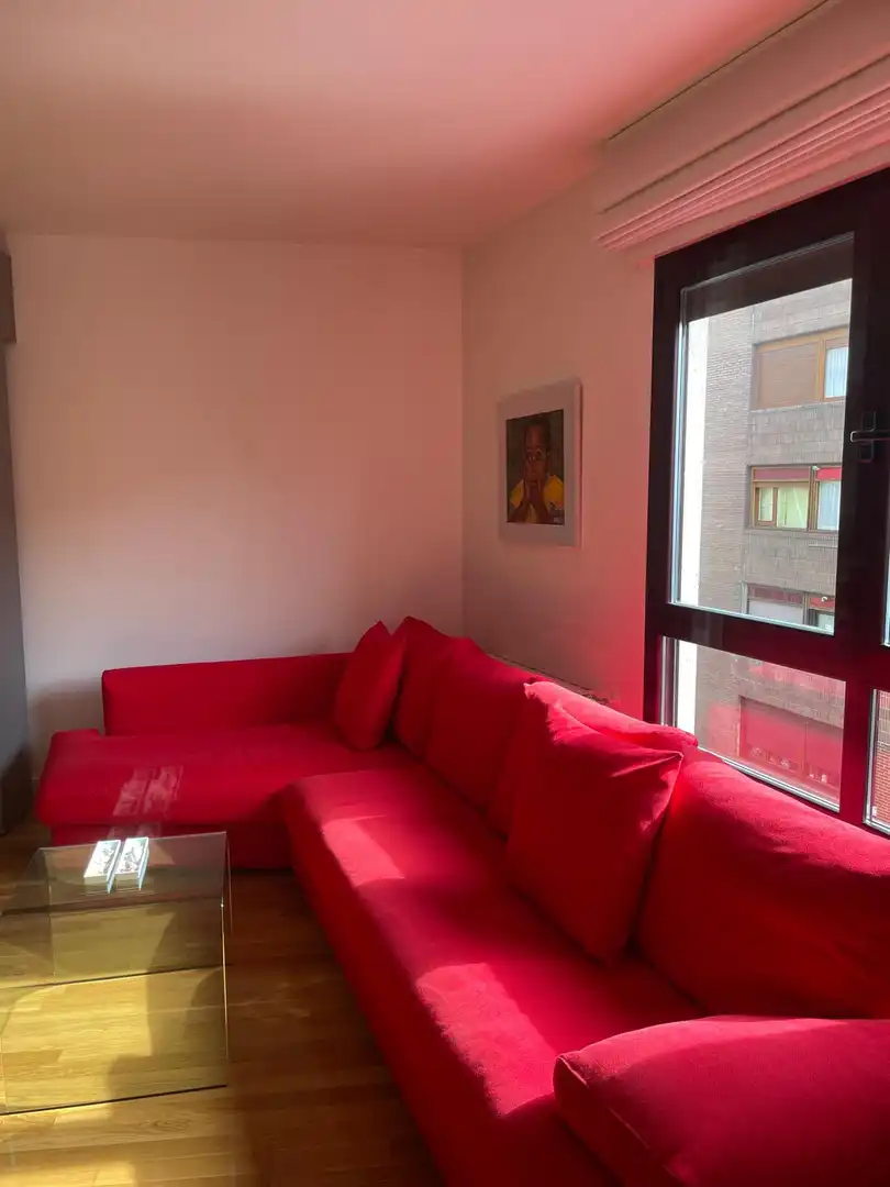 Sala de estar de Apartamento de alquiler en Santander