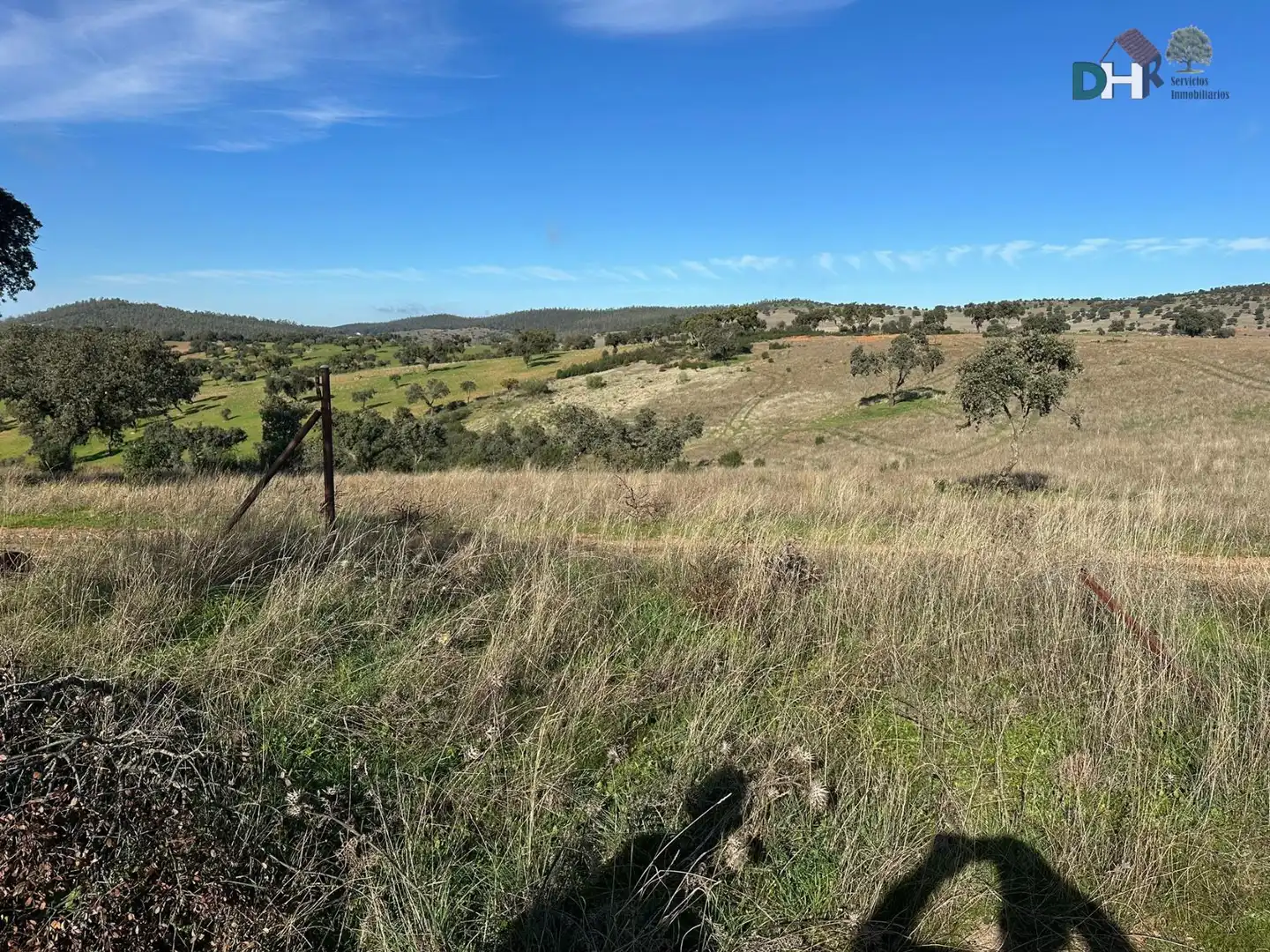 Terreni e lotti in vendita a Carretera de Sevilla - Los Montitos, imagen 10