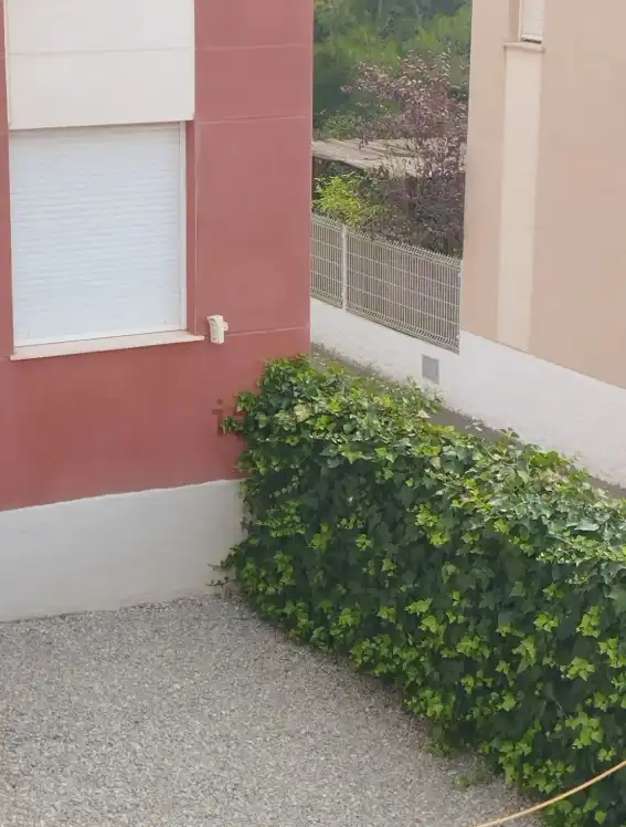 Vista exterior de Casa o xalet de lloguer en Serra amb Terrassa i Piscina comunitària