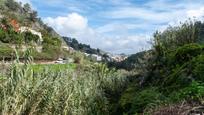 Exterior view of Country house for sale in Teror