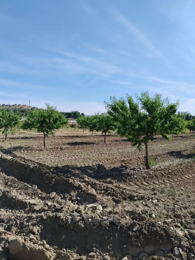 Terreni e lotti in vendita a Villa de Otura, imagen 12
