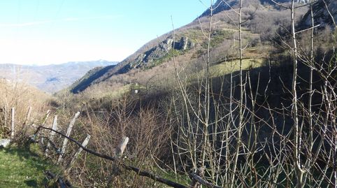 FINCA CON CABAÑA EN PLENA NATURALEZA, immagine 3