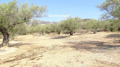 Finca rústica en venta en Xerta, immagine 5