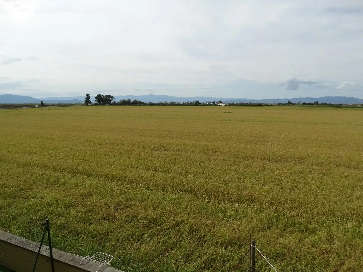 Apartments for sale in Amposta  with Terrace