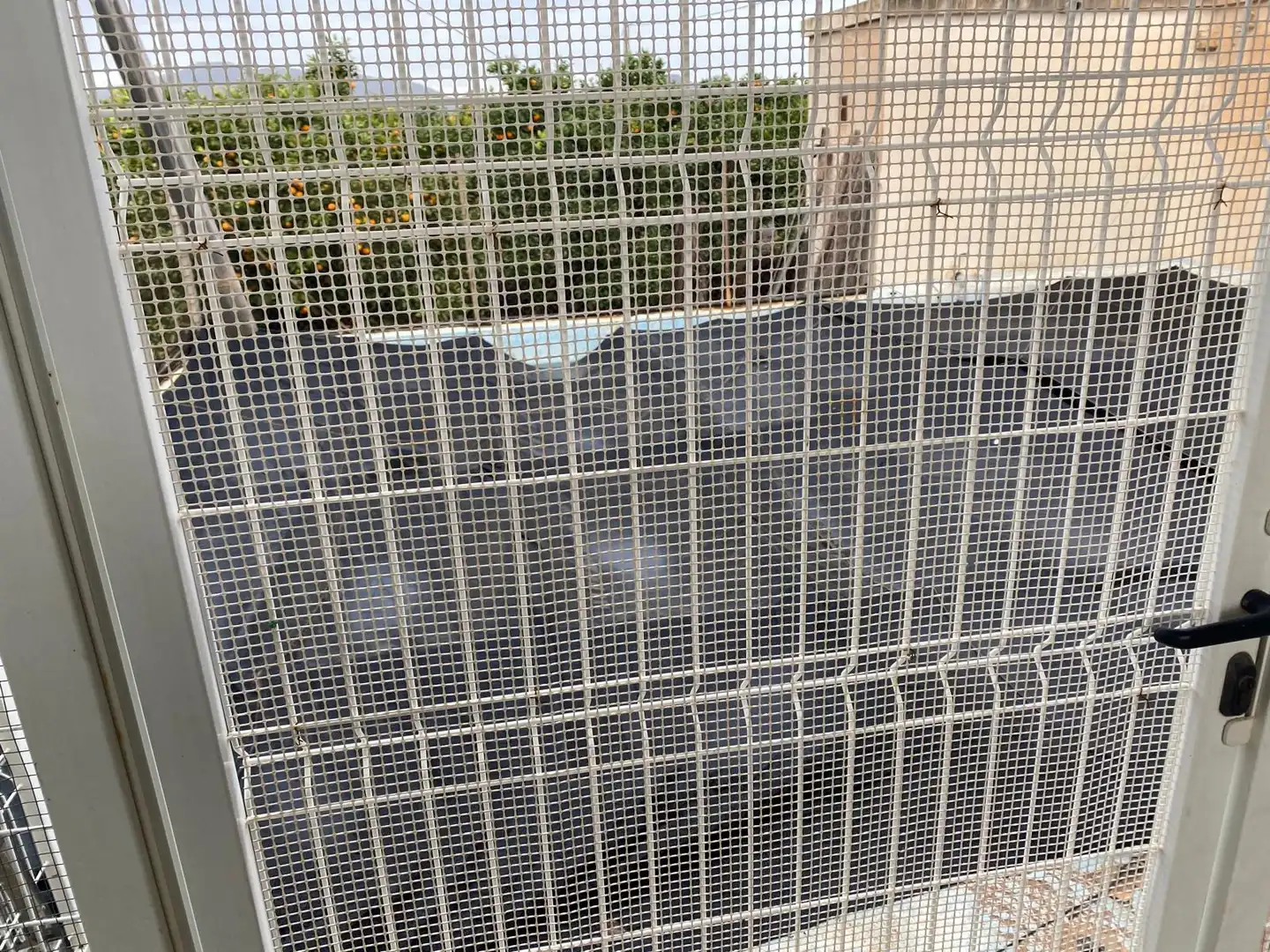 Vista exterior de Terreno en venta en Berja