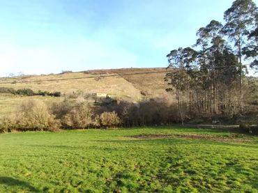 Terreno rustico in vendita a N/A