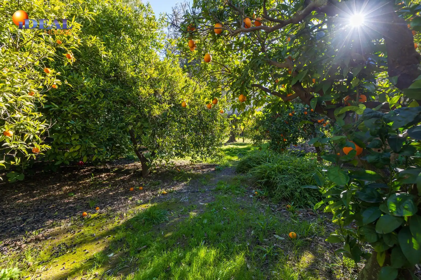 Villa avec terrasse à vendre à El Valle, imagen 56