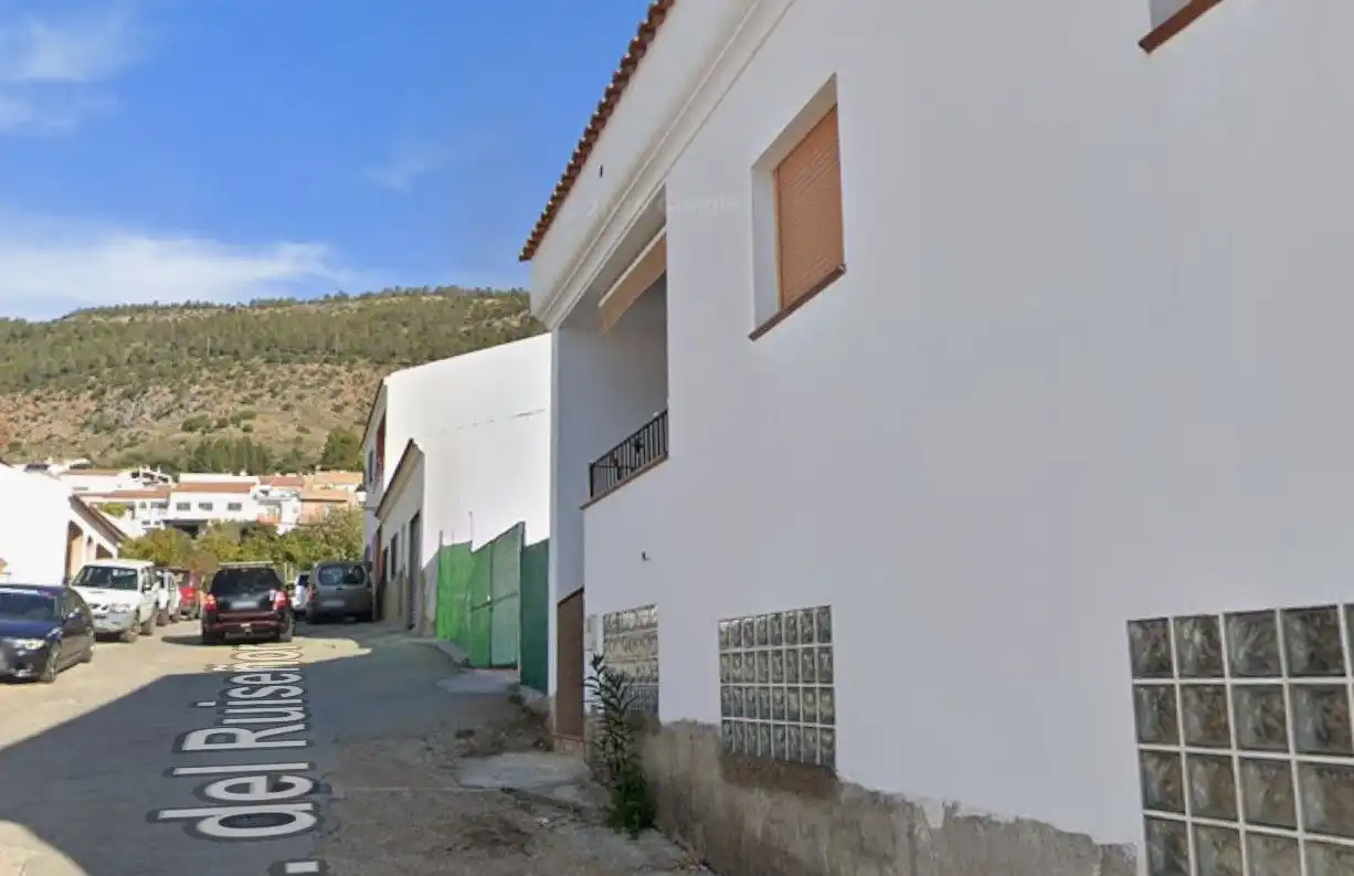 Maison à vendre à Ruiseñor, imagen 2