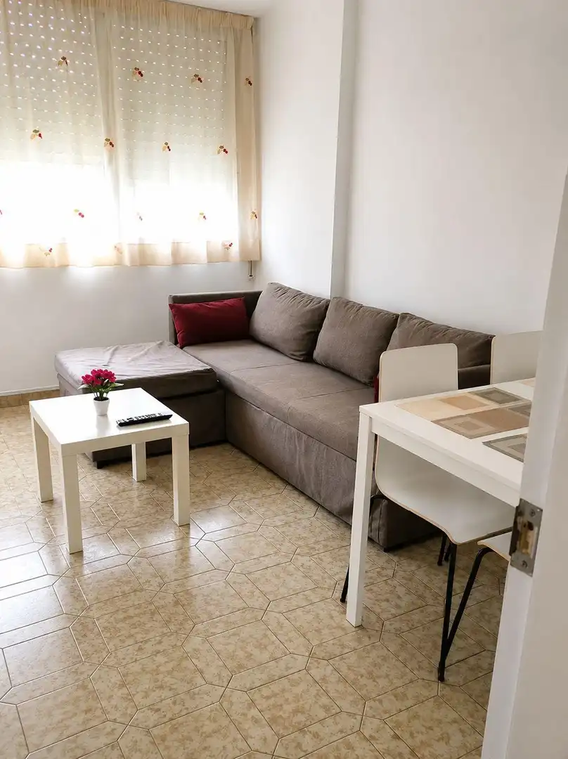 Wohnzimmer von Wohnungen zur Miete in Valencia