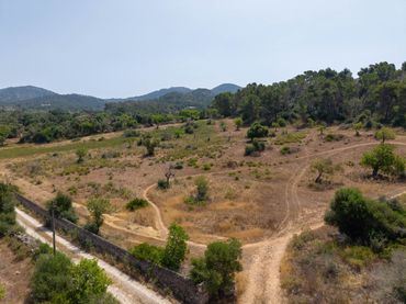 Rural land for sale in Felanitx Poble