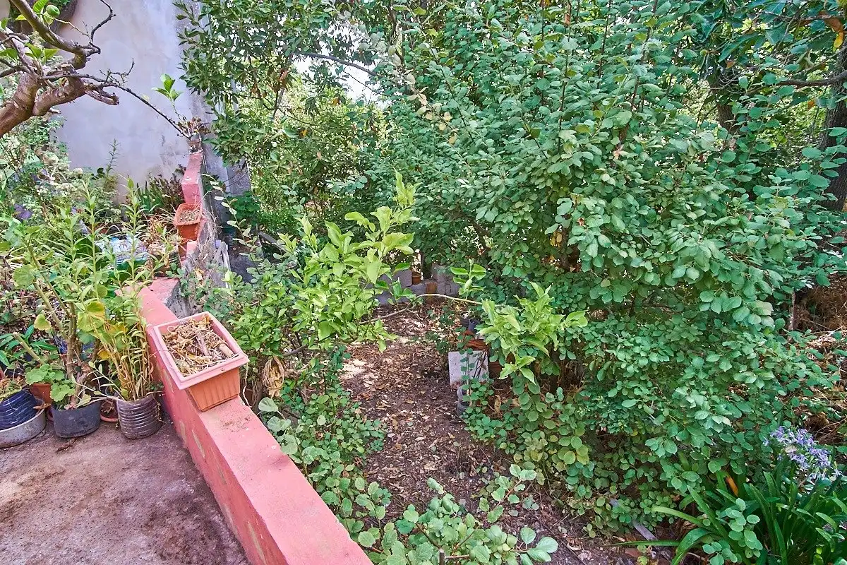 Jardín de Casa o chalet en venta en Vega de San Mateo con Jardín privado y Terraza