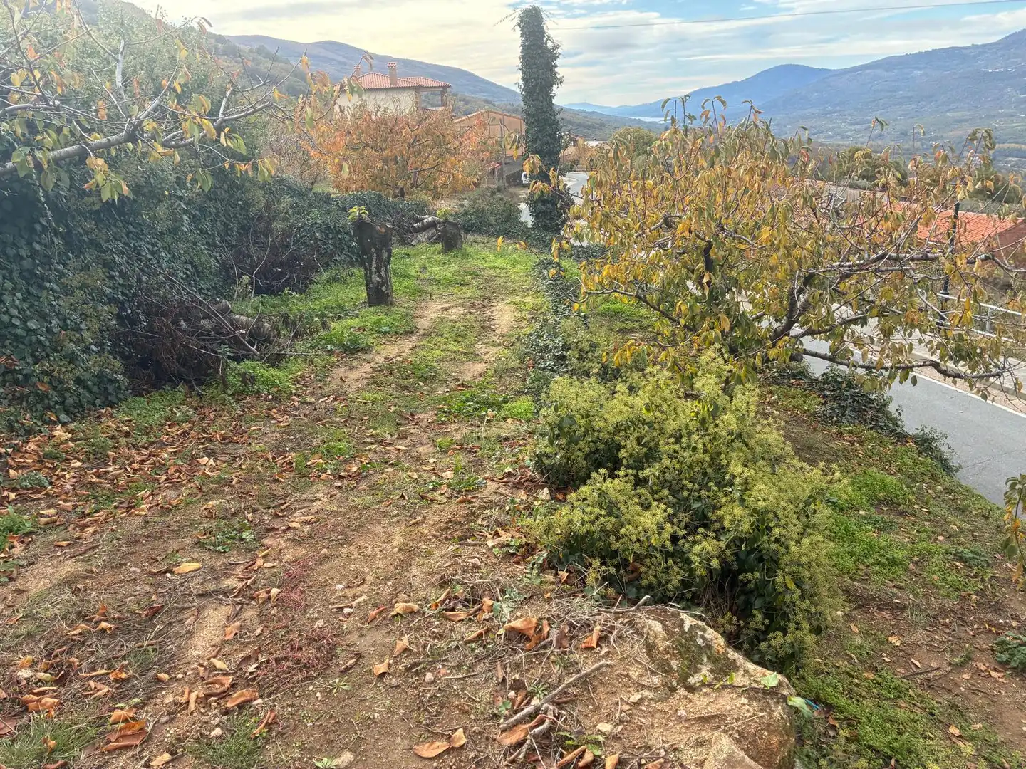 Residential land for sale in Paseo Naranjos 118, imagen 3