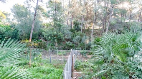 Photo 3 of Country homes for sale in L'Ametlla de Mar pueblo, L'Ametlla de Mar