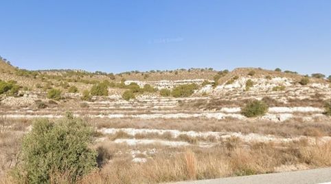 SE VENDE FINCA RUSTICA SECANO EN EL ALGARROBO ABANILLA, immagine 2