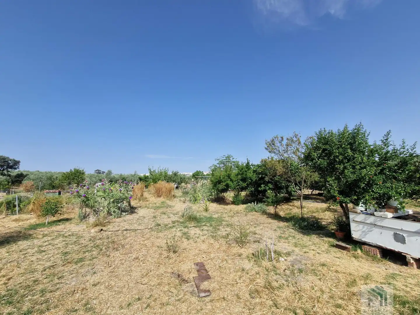 Terreni e lotti in vendita a Montilla, imagen 9