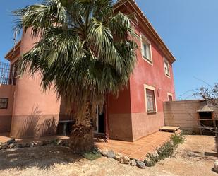 Exterior view of House or chalet for sale in Roquetas de Mar  with Private garden and Terrace
