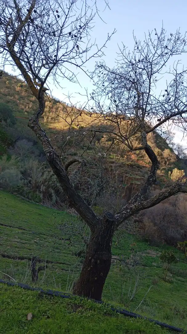 Casa rustica in vendita a Camino Los Guaperos , Paraje Majada Llana,, imagen 15