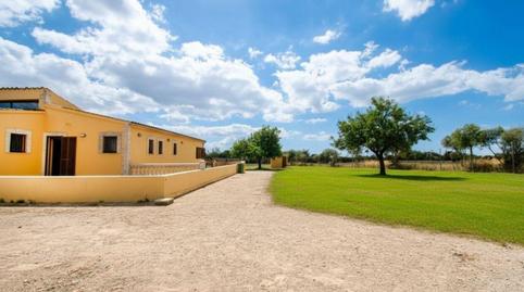 Photo 4 of House or chalet for sale in Palma de Mallorca - Camí Vell de Sineu, Estadi Balear,  Palma de Mallorca