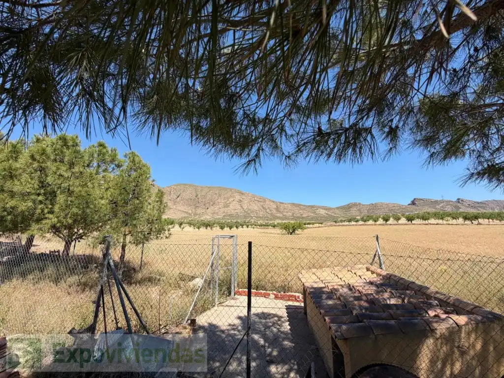 Casa o chalet en venta en Jumilla con Jardín privado, Terraza y Piscina