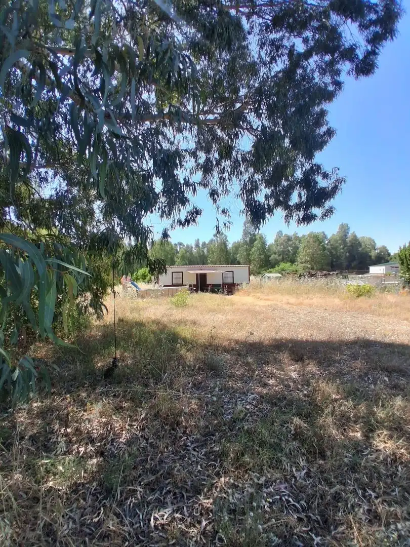 Casa o chalet en venta en La Puebla del Río