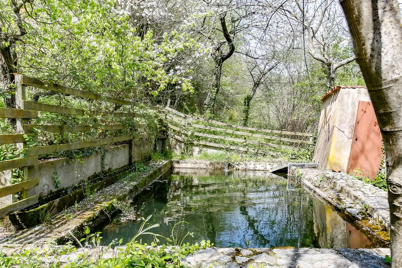 Finca rústica en venda a Arbúcies