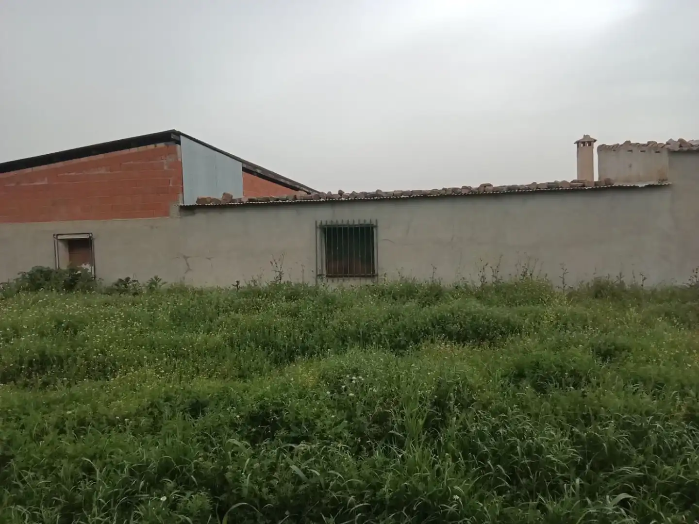 Nau industrial en venda a Malagón