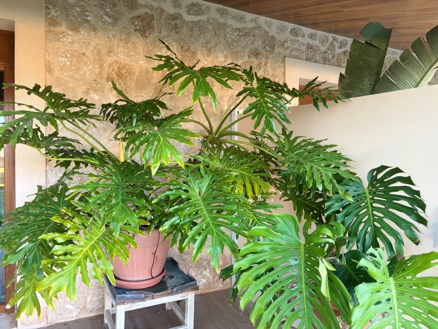 Haus oder Chalet zur Miete in Cala Vinyes