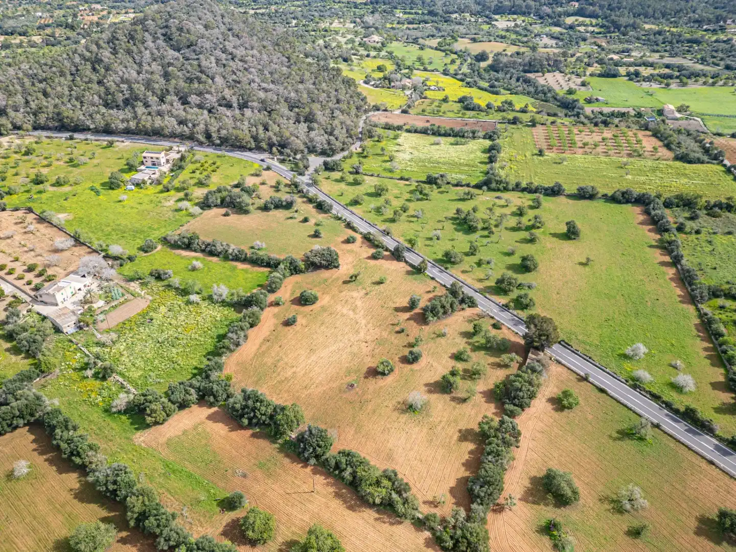 Rural land for sale in Felanitx Poble, imagen 25