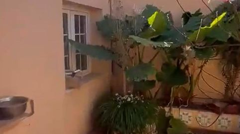 Foto 2 de Casa o chalet en venta en Carrer Llucmajor, Es Portixol - Es Molinar, Palma de Mallorca