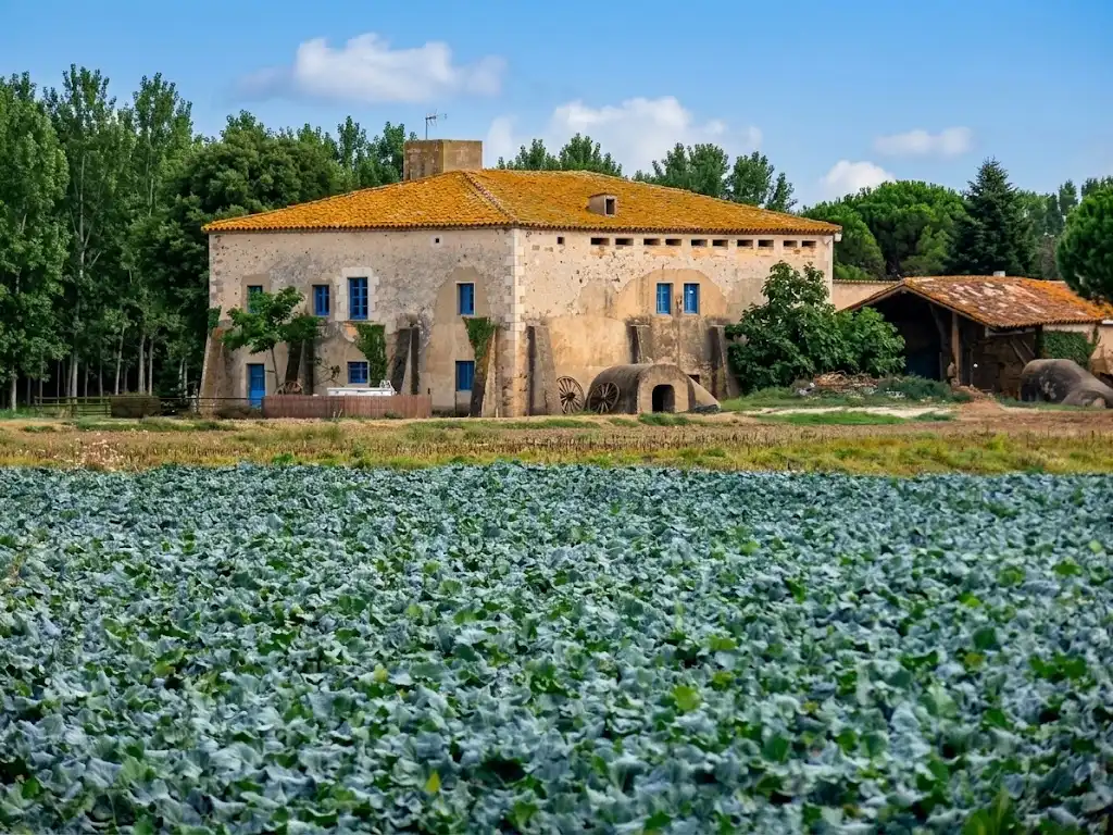 Außenansicht von Country house zur Miete in Bordils, Girona