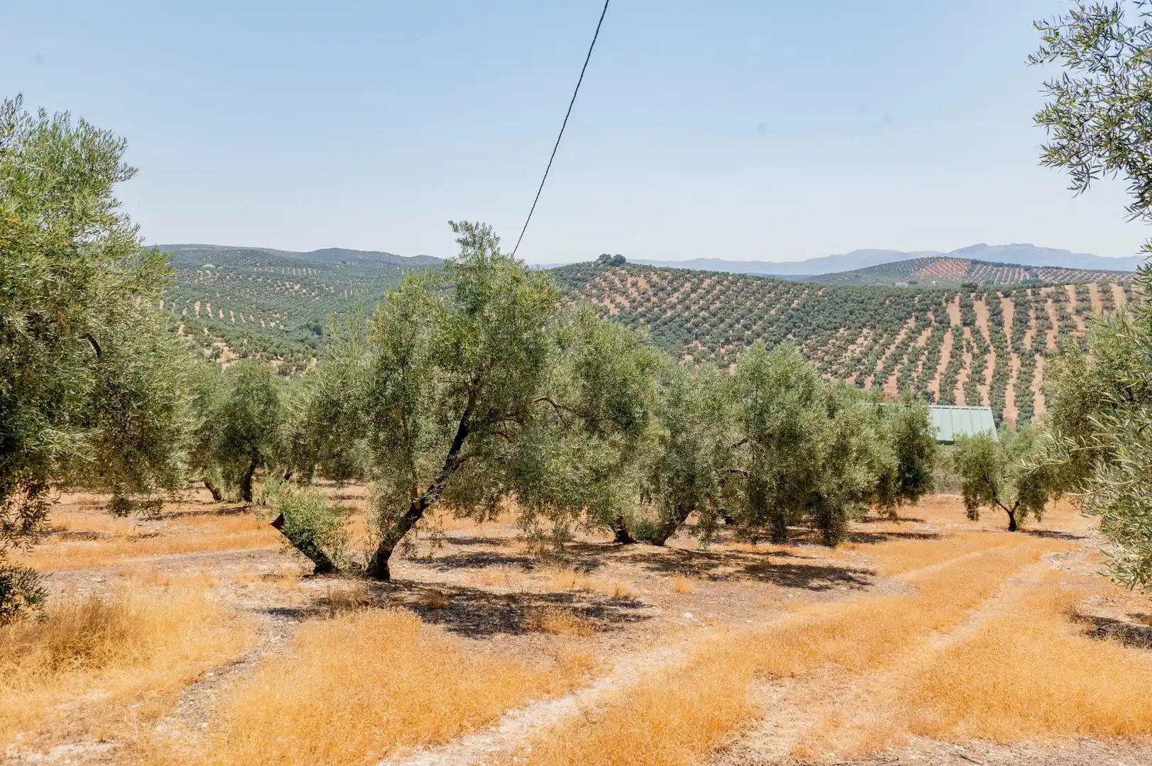 Land for sale in Archidona