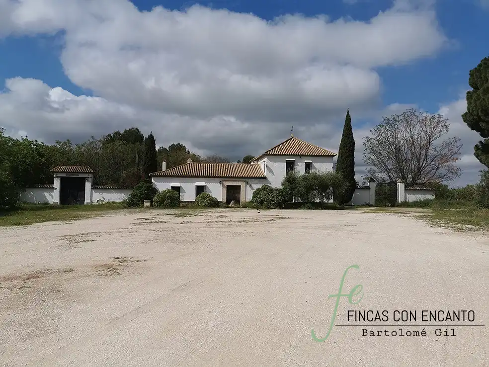 Finca rústica en venda en Marchena amb Aire condicionat, Terrassa i Piscina