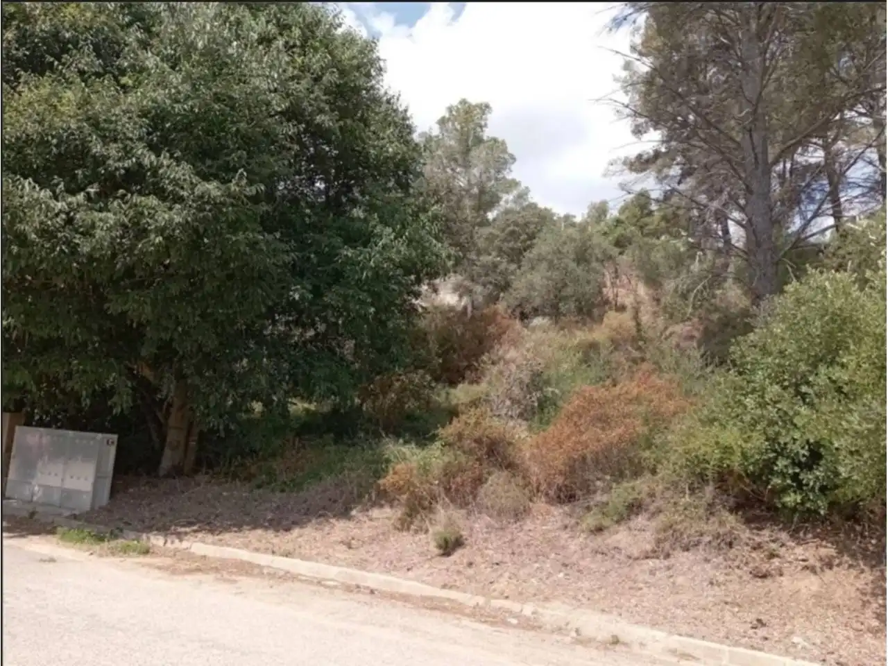 Terreno industrial en venta en Riudecanyes