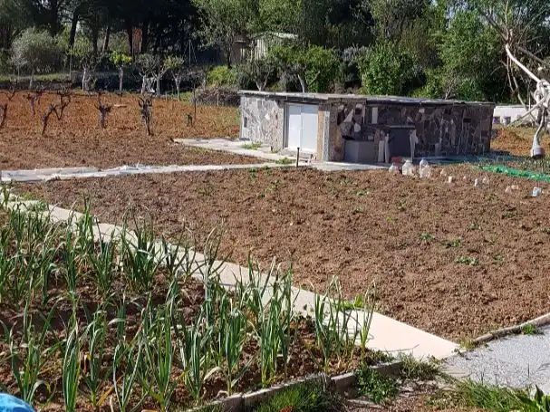 Terreno rustico in vendita a Prados del perdigón 412-5-A, imagen 10