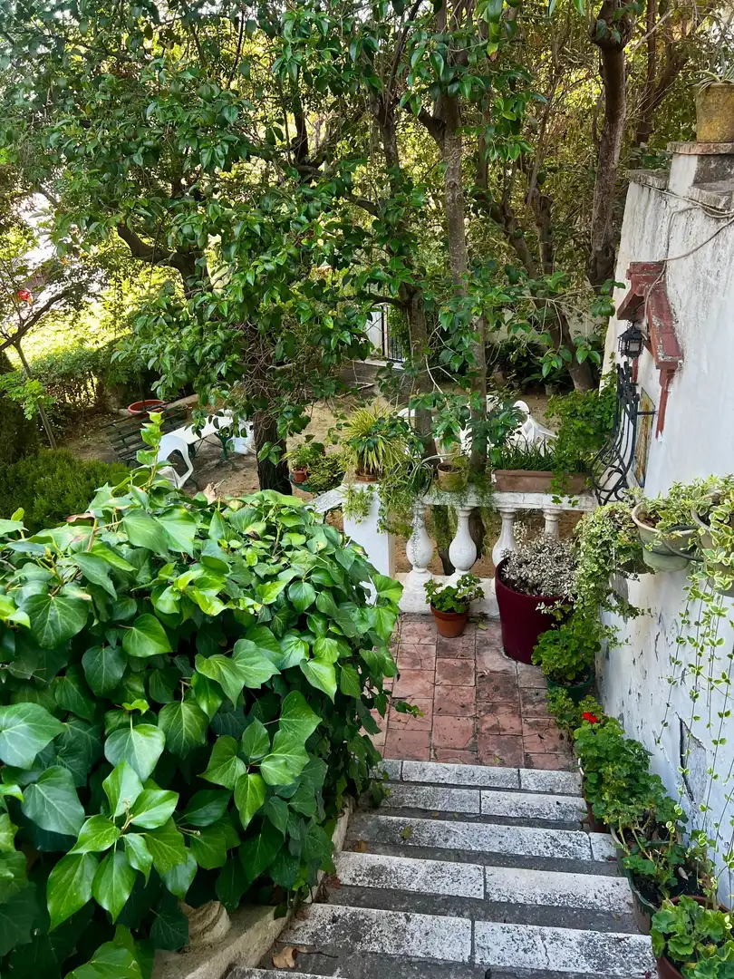 Finca rústica en venda a Biar