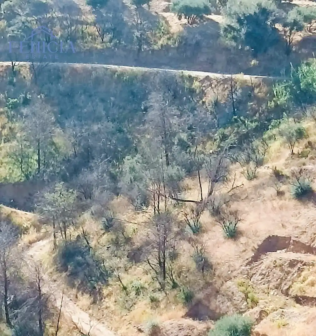 Terreni e lotti in vendita a El Rescate - Río Seco, imagen 6