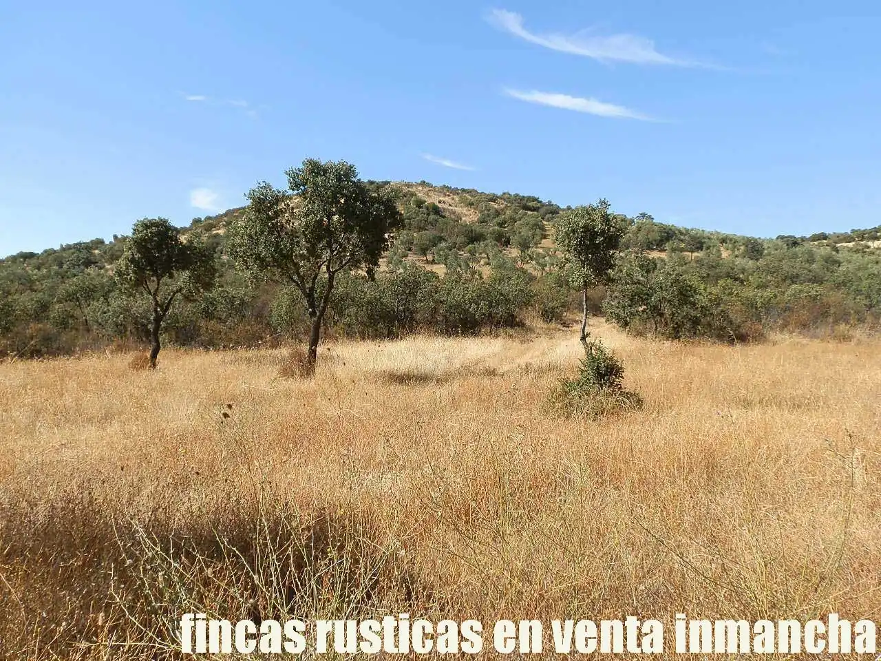 Terreny rústic en venda a Fuente el Fresno, imagen 8