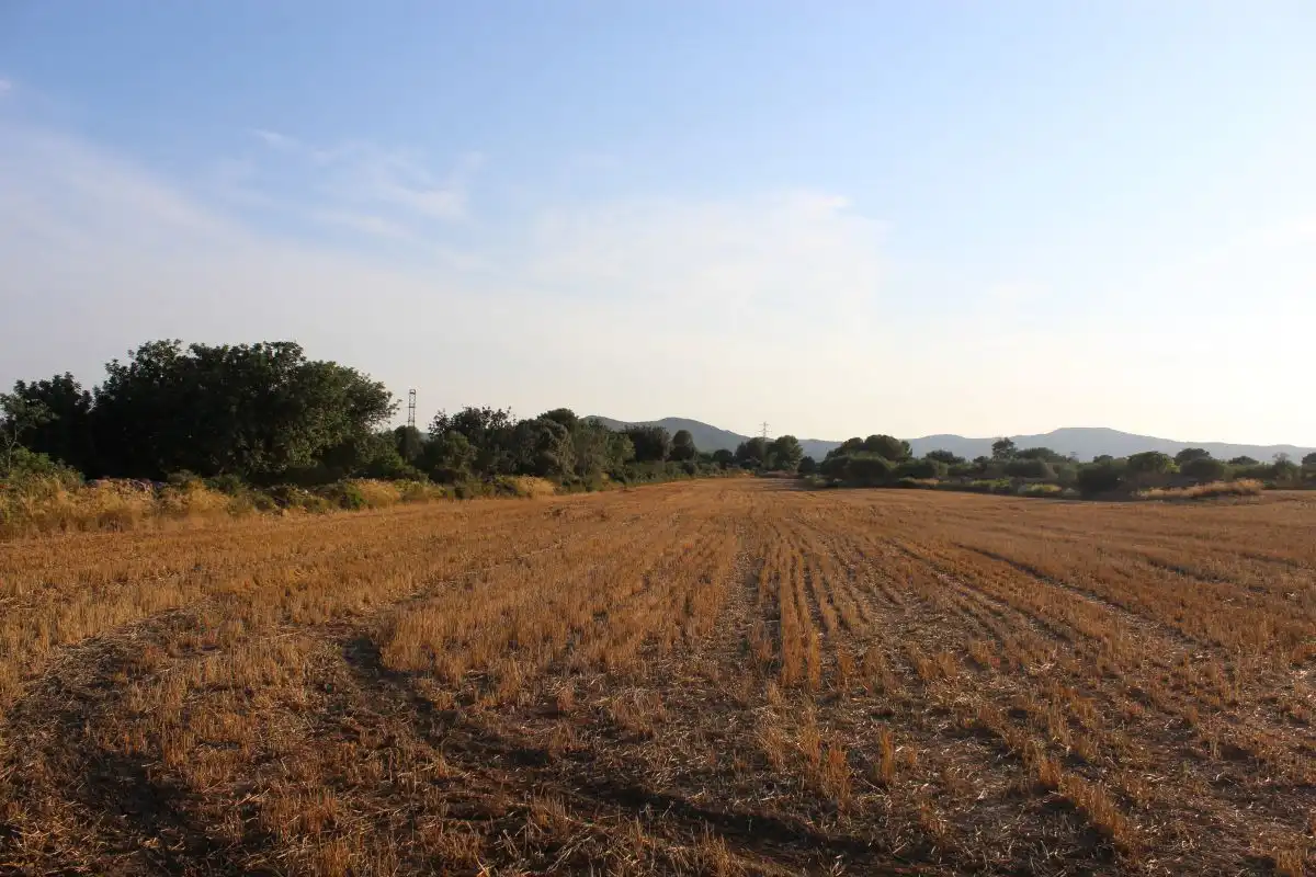Terreno rústico en venta en Banyeres del Penedès, imagen 2