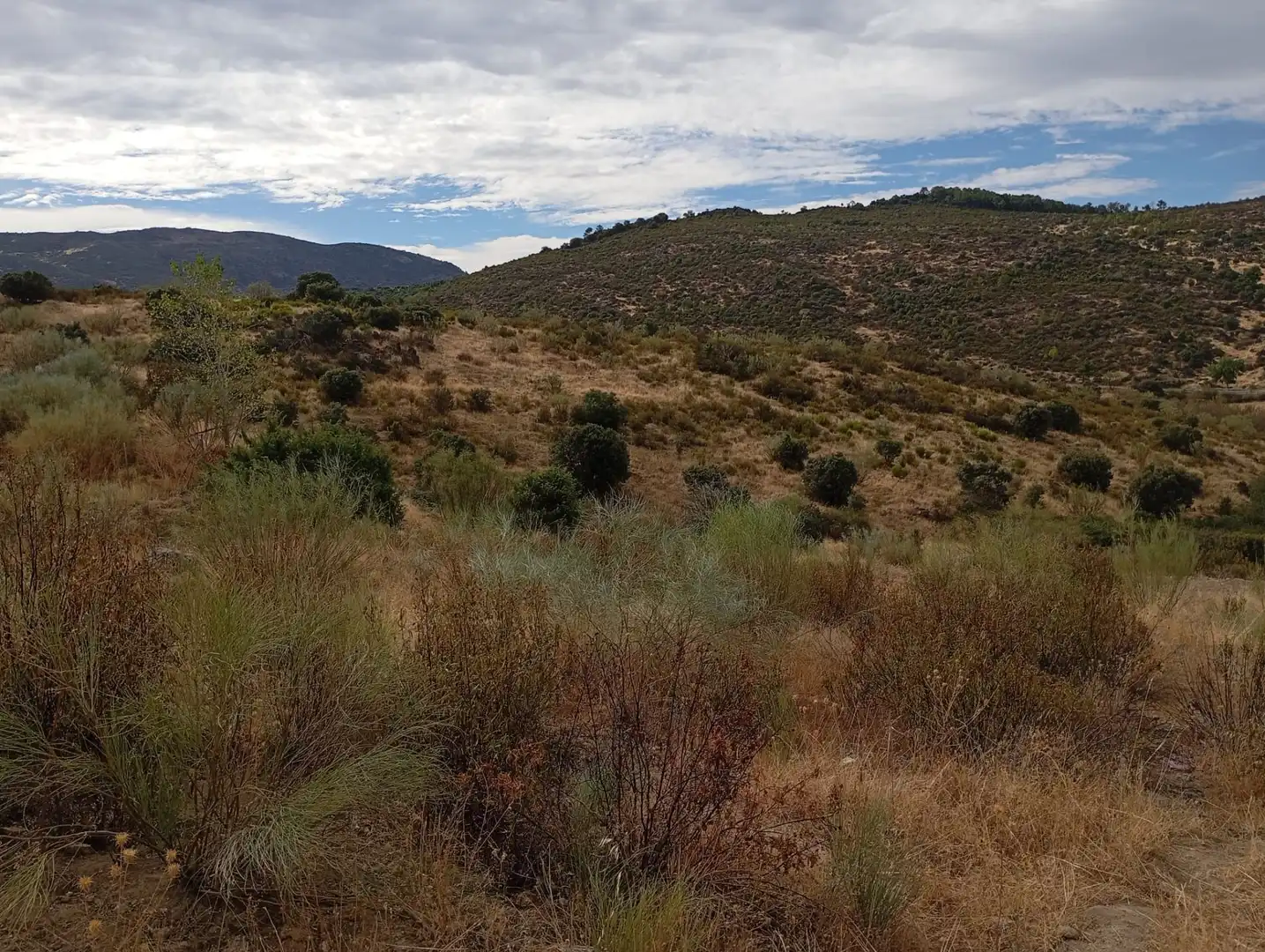 Terrenos y solares en venta en Robledo de Chavela, imagen 23