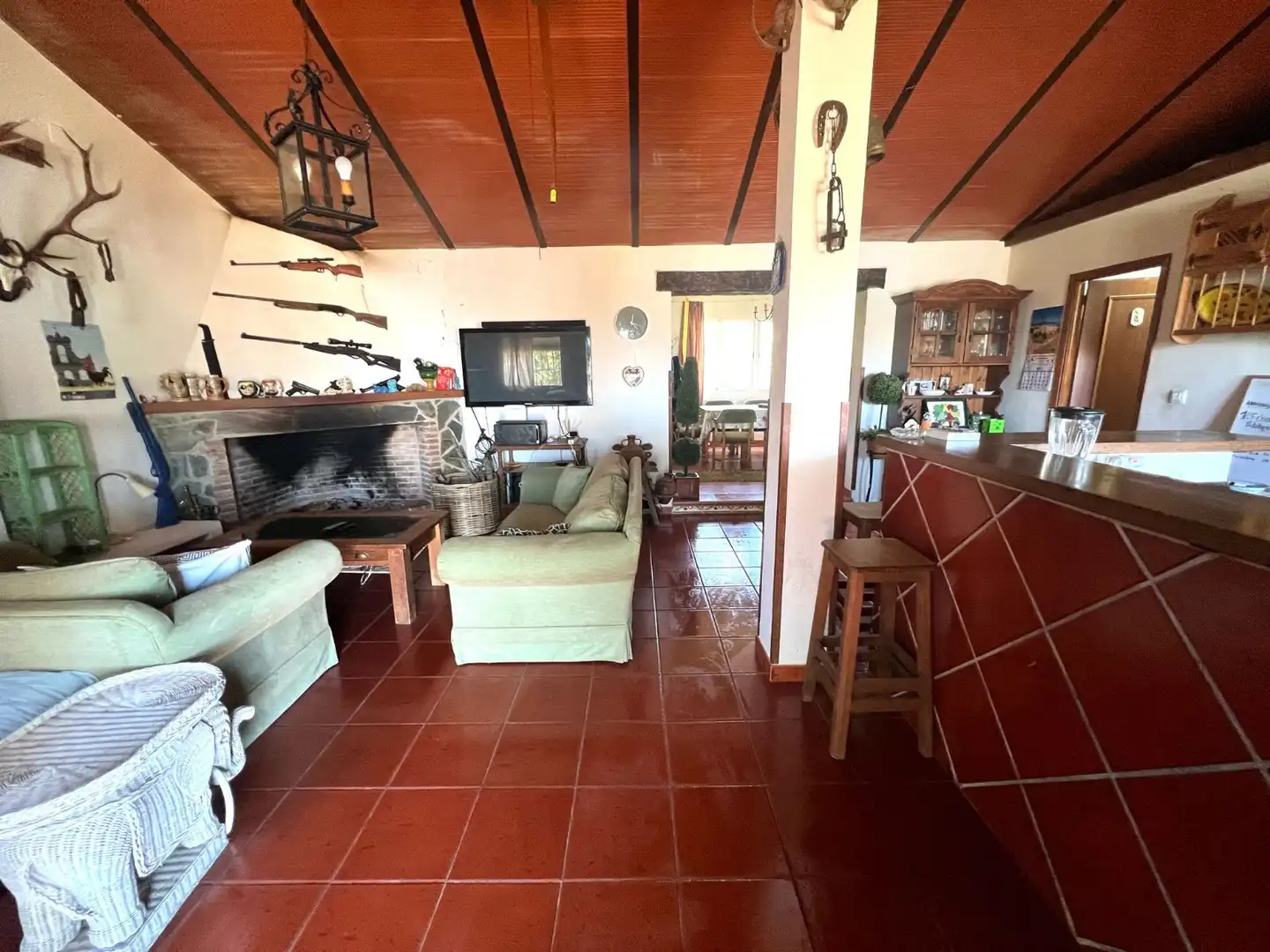Sala de estar de Finca rústica en venta en Málaga con Terraza y Piscina