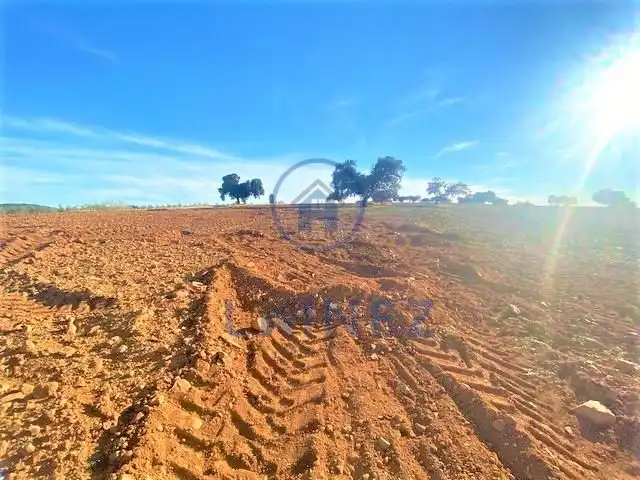 Lands and plots for sale in Fuente Obejuna, imagen 7