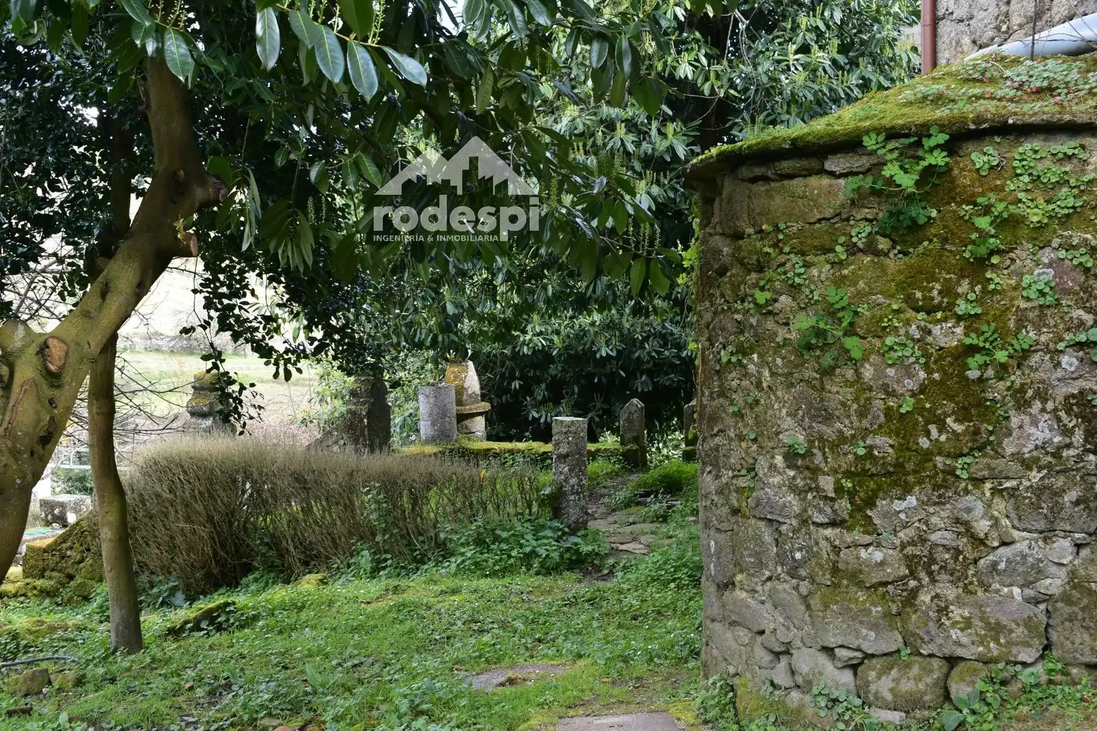 Garden of Buildings for sale in Pantón