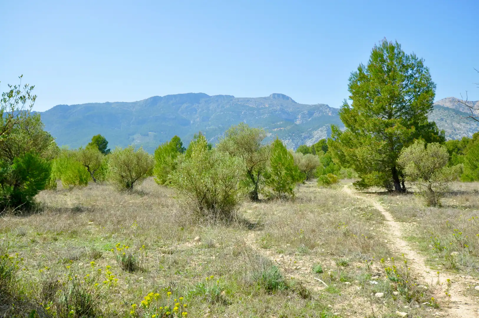 Residential zum Verkauf in Muro de Alcoy