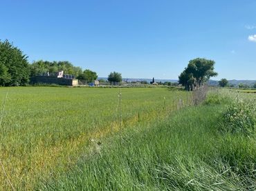 Terreno rustico in vendita a Chinchón