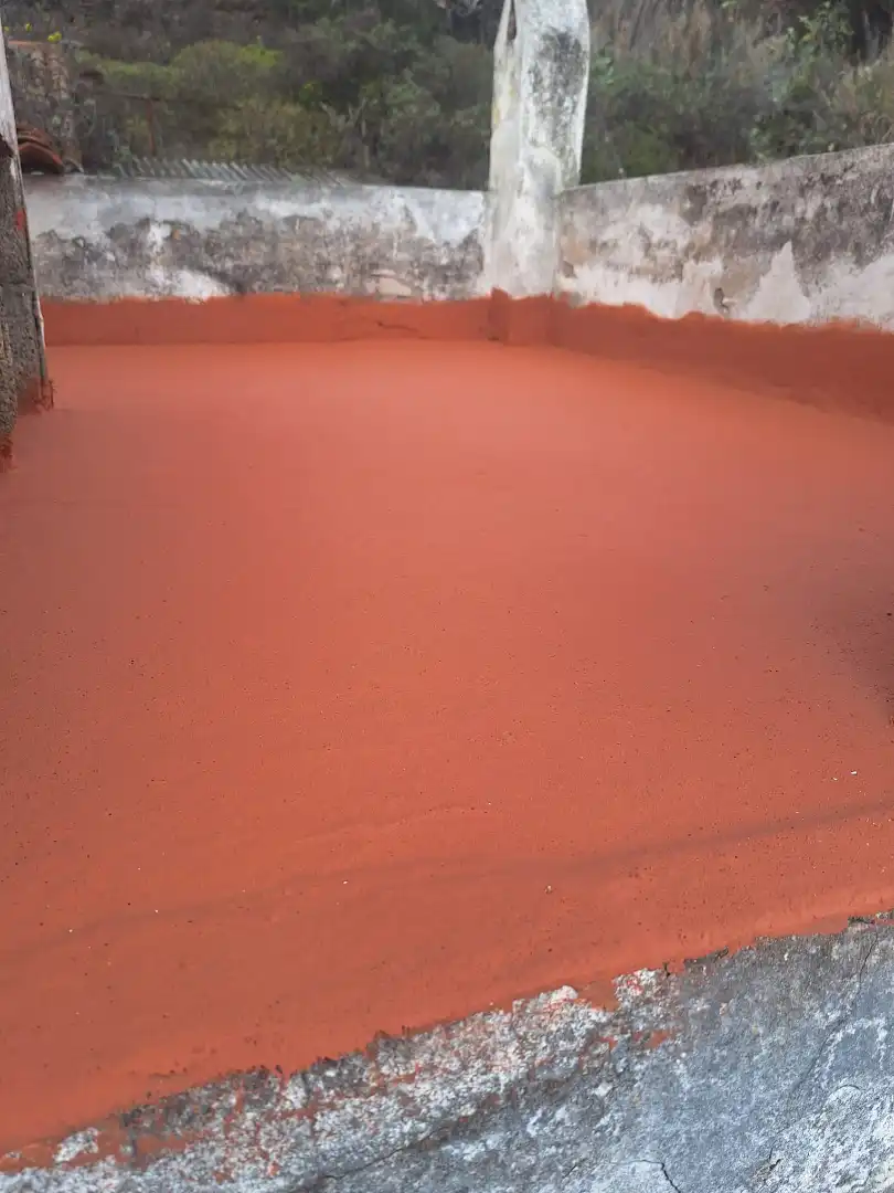 Jardí de Finca rústica en venda en Santa Brígida