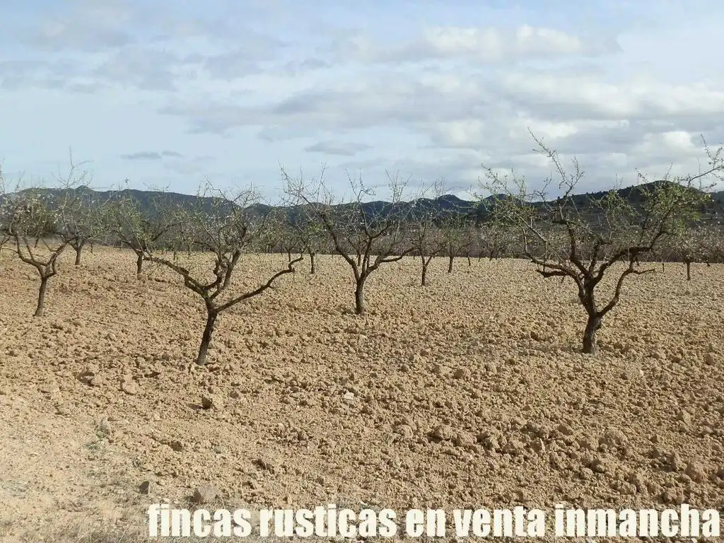 Rustikales Grundstück zum Verkauf in Cieza, imagen 15