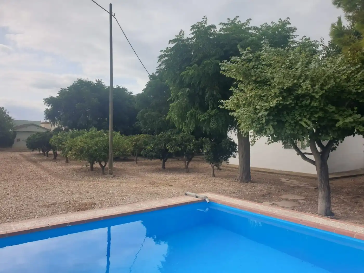 Piscina de Finca rústica en venda en Vinaròs amb Jardí privat, Traster i Piscina