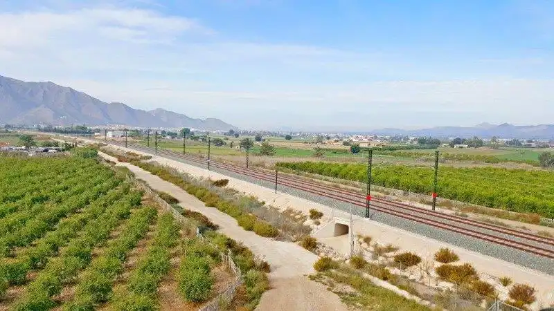 Landhaus zum Verkauf in Callosa de Segura, imagen 42