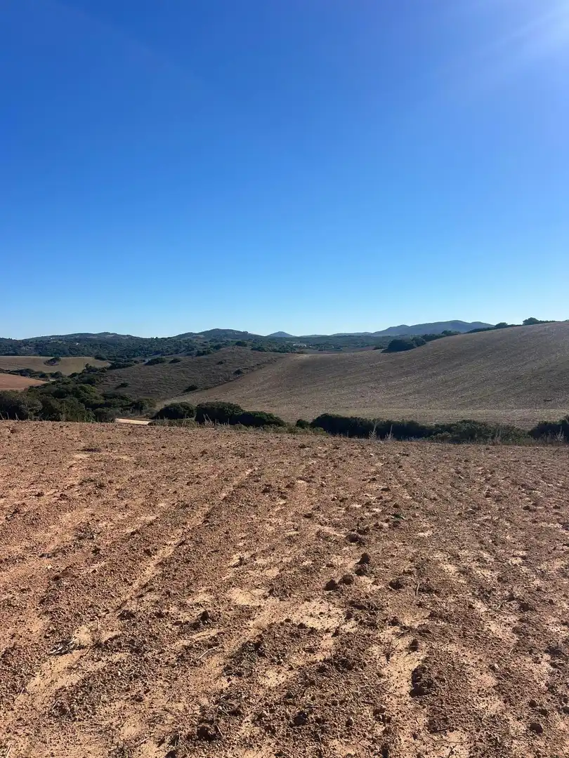 Terreny rústic en venda a Medina Sidonia, imagen 9